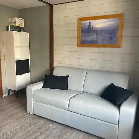 4/5 Pers 4* Des Bergers Pieds Des Pistes